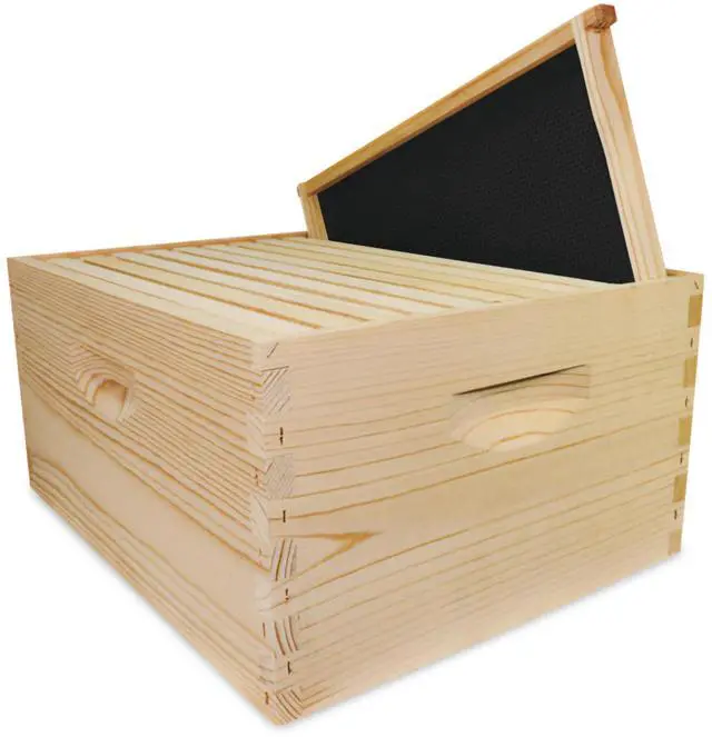 Main image of 10-Frame Deep Hive Kit, Fully Assembled 9" Bee Hive Body with 10 Frames & Beeswax-Coated Plastic Foundation for Brood Replacement, Colony Growth & Honey Production, Made in USA, Unpainted