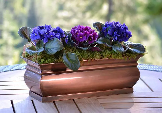 Alt view image 2 of 5 - Herb Planter Pots Succulent Window Box Rectangular Indoor Outdoor Flower Garden Planters Dimensions 16 x 6 x 5.75 Inches (2)