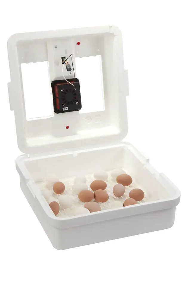 Alt view image 6 of 6 - ® Digital Still Air Incubator | 41 Egg Capacity | Chick Egg Hatching Incubator with Temperature and Humidity Control | Made in USA