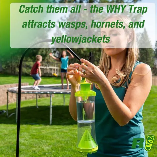 Alt view image 3 of 5 - Non-Toxic Wasp, Hornet, Yellowjacket Trap (WHY Trap) Attractant Refill - 2 Week Refill - 12 Pack