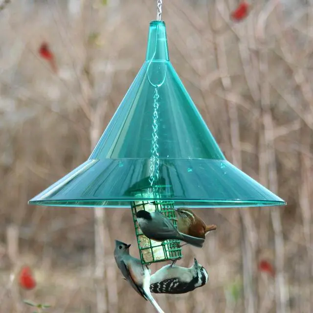 Alt view image 2 of 6 - Squirrel Baffle - Protects Outside Bird Houses - Premium Large 17" Dome - Made in USA by Arundale (Emerald Green)