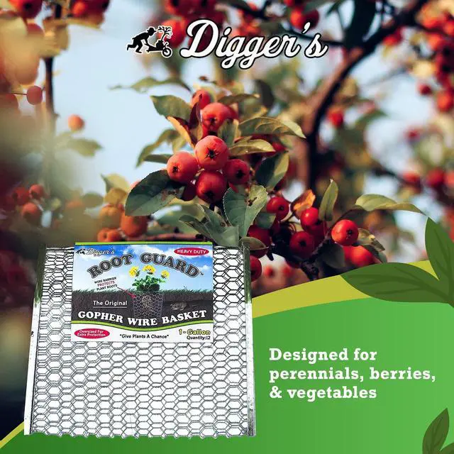 Alt view image 3 of 6 - Diggers 1-Gallon Heavy-Duty Wire Basket - Gopher Wire Basket for Perennials & Vegetables (12 Baskets)