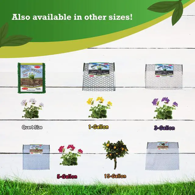 Alt view image 6 of 6 - Diggers 1-Gallon Heavy-Duty Wire Basket - Gopher Wire Basket for Perennials & Vegetables (12 Baskets)