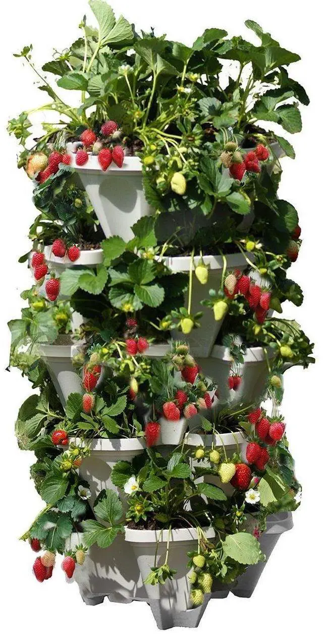 Main image of 5 Tiered Vertical Gardening Planter, Indoor & Outdoor