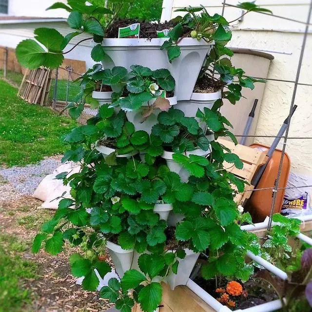 Alt view image 6 of 6 - 5 Tiered Vertical Gardening Planter, Indoor & Outdoor