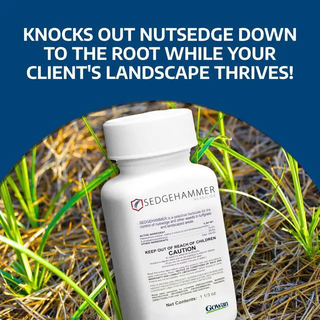 Alt view image 2 of 6 - Herbicide - 1 Pack of 1.33oz Bottle of USA-Made Post-Emergent Nutsedge Killer for Lawns - Lawn & Pet Safe Weed Killer for Commerical & Large Area Use - Also Works on Horsetail & Kyllinga