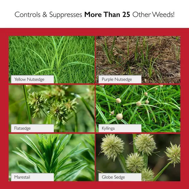 Alt view image 3 of 6 - Herbicide - 1 Pack of 1.33oz Bottle of USA-Made Post-Emergent Nutsedge Killer for Lawns - Lawn & Pet Safe Weed Killer for Commerical & Large Area Use - Also Works on Horsetail & Kyllinga