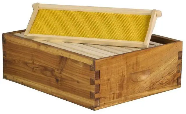 Main image of 10-Frame Medium Super Box Wax-Dipped Fir Wood Langstroth Honey Super with Dovetail Joints Ready to Use, Durable & Weather-Resistant (1)