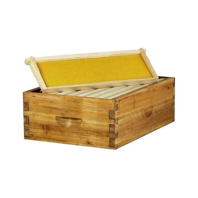 Alt view image 5 of 5 - 10-Frame Medium Super Box Wax-Dipped Fir Wood Langstroth Honey Super with Dovetail Joints Ready to Use, Durable & Weather-Resistant (1)
