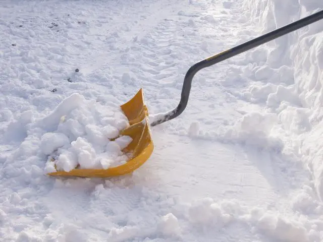Alt view image 5 of 5 - The AMES Companies 1603072 18" Ergonomic Snow Shovel