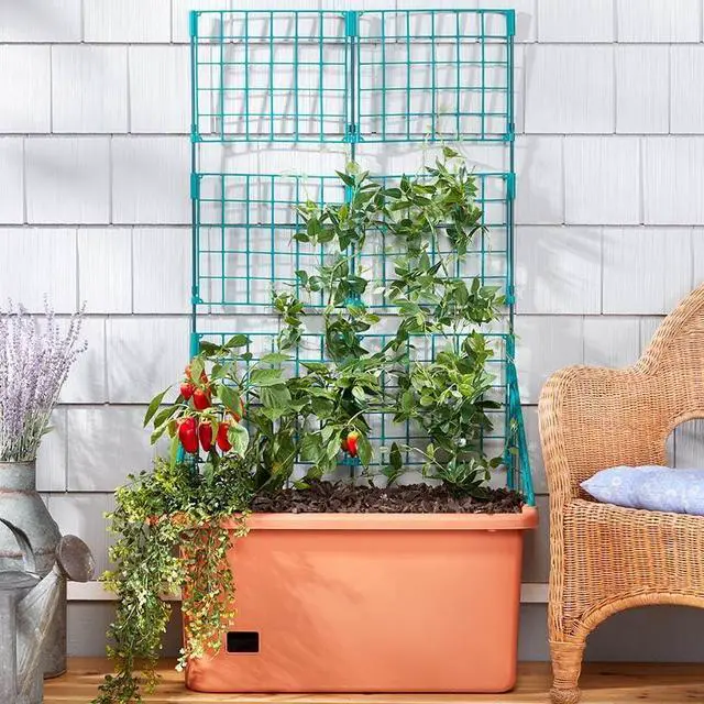 Main image of Vegetable Planter with Wheels and Trellis - 58 Inch Self Watering