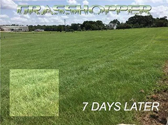 Alt view image 2 of 5 - Grasshopper 19-19-19 Foliar Fertilizer