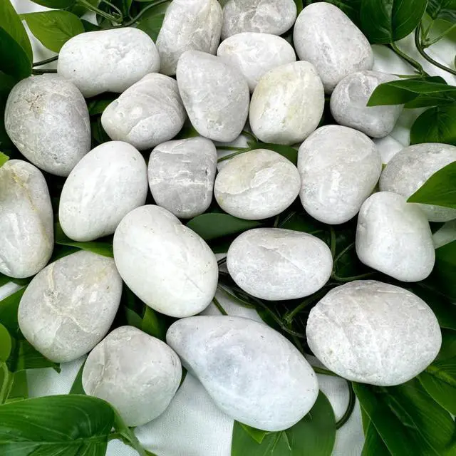 Alt view image 3 of 6 - PGN White River Rocks for Plants - 40 Pounds - White Rocks with Smooth, Polished Surfaces - 1-3 Inch Stones for Planters, Aquarium Decorations, Vase, Fireplace, Landscaping, Outdoor Decor