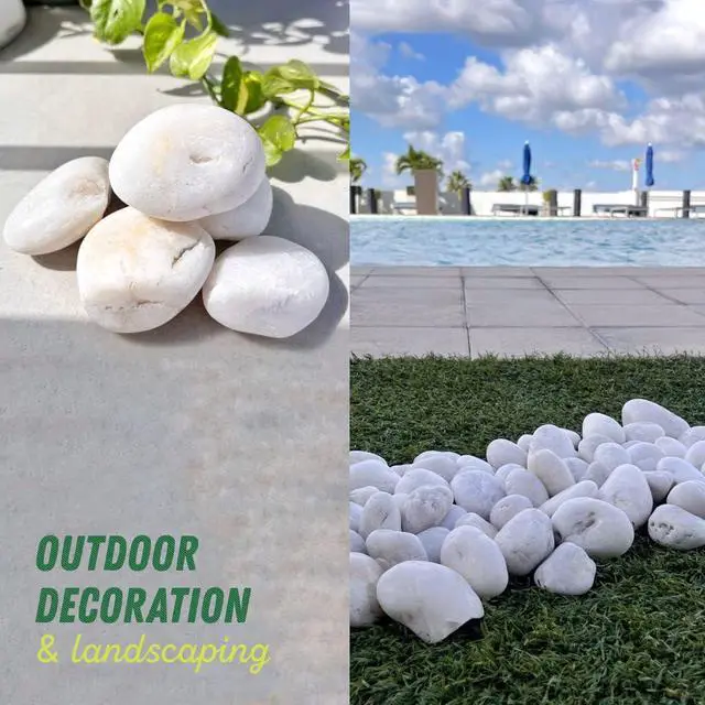 Alt view image 5 of 6 - PGN White River Rocks for Plants - 40 Pounds - White Rocks with Smooth, Polished Surfaces - 1-3 Inch Stones for Planters, Aquarium Decorations, Vase, Fireplace, Landscaping, Outdoor Decor