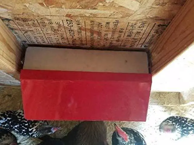 Alt view image 6 of 6 - Space Saving Mountable Steel Poultry Feeder (Front Feed, Front Loading)