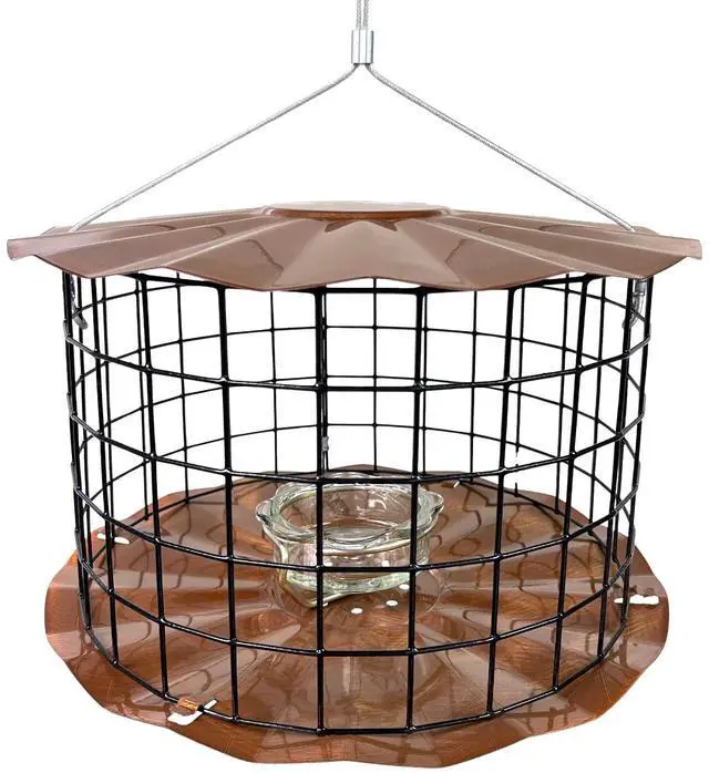Main image of Starling-Proof Barrier Guard Bluebird Feeder with Glass Mealworm Cup - Premium Copper Finish - Made in USA (BBF1C)