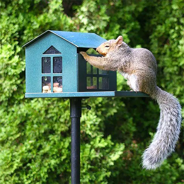 Alt view image 5 of 6 - Peanut Pantry Squirrel Feeder - Heavy Duty Steel - Premium Verdigris Finish - Made in USA (SQF1)