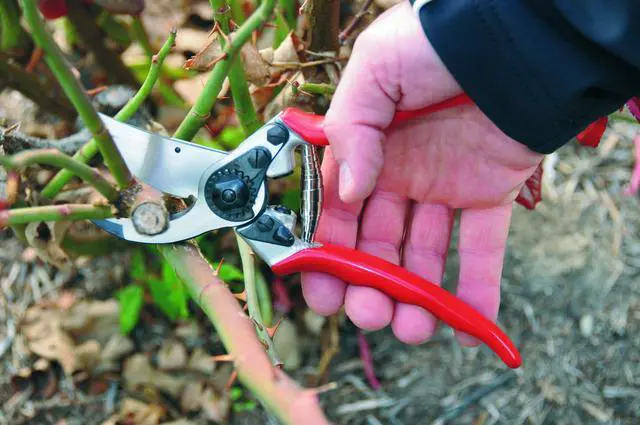 Alt view image 2 of 3 - Pruning Shears (F 11) - High Performance Swiss Made One-Hand Garden Pruner with Steel Blade