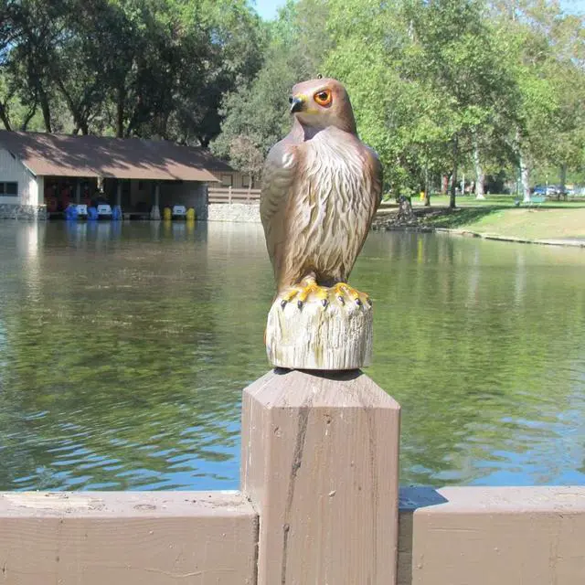 Alt view image 3 of 4 - Plastic Hawk Decoy (6 Pack) - Hawk Decoy to Scare Birds Away, Bird Deterrent Devices Outdoor, 16 Inch Fake Hawk Statue, Bird Repellent Scarecrow for Garden