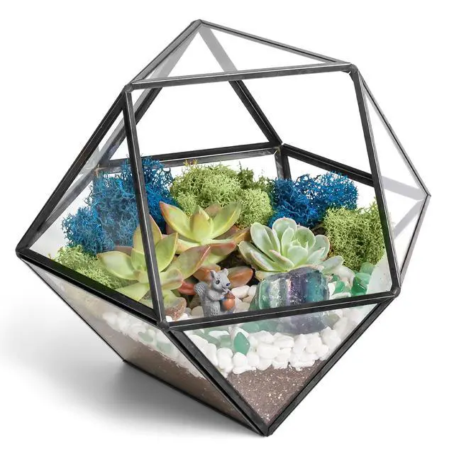 Alt view image 2 of 6 - DIY 7" Geometric Terrarium Kit - Build Your Own Glass Terrarium for Adults & Teens with Moss, Crystals, Tools & Decor - Handcrafted in the USA (Live Plant Included)