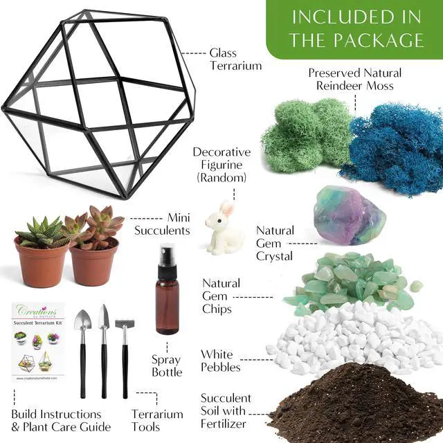 Alt view image 3 of 6 - DIY 7" Geometric Terrarium Kit - Build Your Own Glass Terrarium for Adults & Teens with Moss, Crystals, Tools & Decor - Handcrafted in the USA (Live Plant Included)