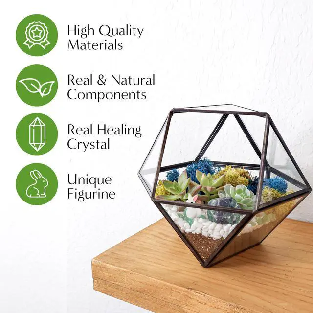 Alt view image 4 of 6 - DIY 7" Geometric Terrarium Kit - Build Your Own Glass Terrarium for Adults & Teens with Moss, Crystals, Tools & Decor - Handcrafted in the USA (Live Plant Included)