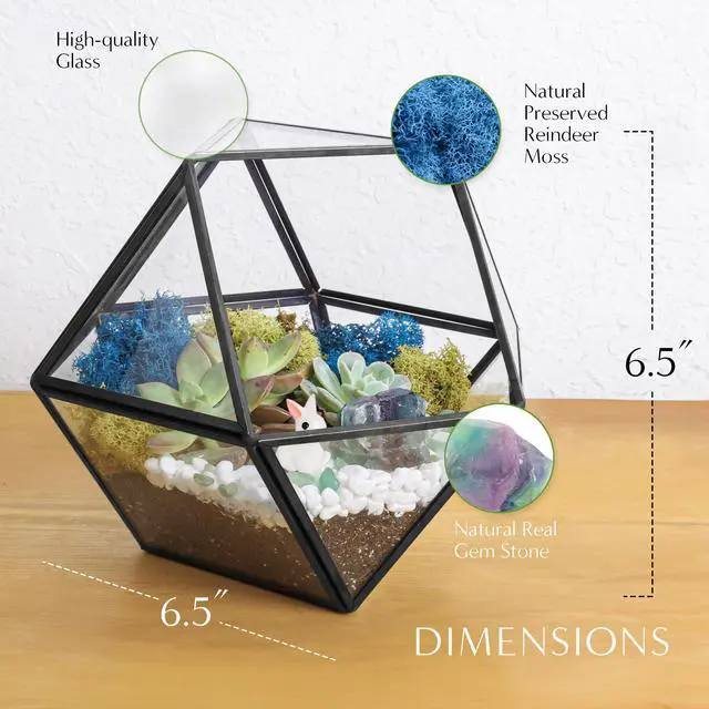 Alt view image 5 of 6 - DIY 7" Geometric Terrarium Kit - Build Your Own Glass Terrarium for Adults & Teens with Moss, Crystals, Tools & Decor - Handcrafted in the USA (Live Plant Included)