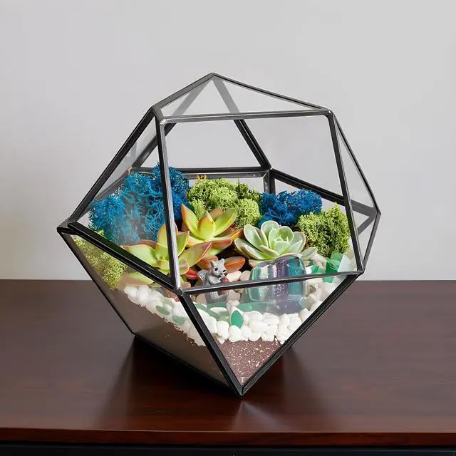 Alt view image 6 of 6 - DIY 7" Geometric Terrarium Kit - Build Your Own Glass Terrarium for Adults & Teens with Moss, Crystals, Tools & Decor - Handcrafted in the USA (Live Plant Included)