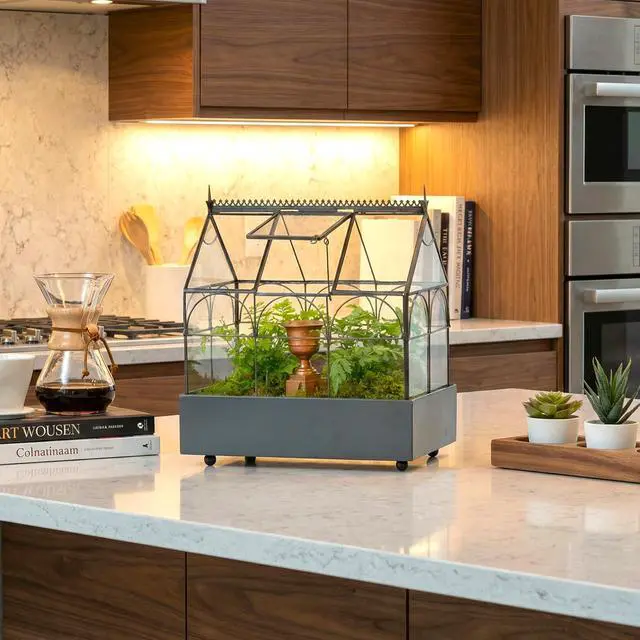 Alt view image 2 of 3 - Glass Terrarium Wardian Case, with Hinged Roof 10.5" Tall | Indoor Tabletop Planter, Metal Base, For Succulents, Ferns, and Moss