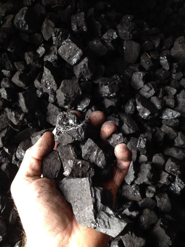 Main image of Bituminous Coal 50lbs