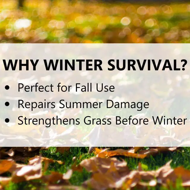 Alt view image 5 of 5 - (12414) Winter Survival Fall Lawn Food - 10-0-20 Fall Lawn Fertilizer (15,000 Sq. Ft.)