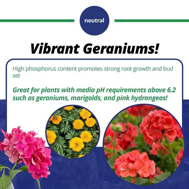 Alt view image 4 of 6 - Jack's Professional 15-15-15 Geranium Water-Soluble Fertilizer with Micronutrients for Root Growth and Bud Set in Geraniums Grown in Continuous Liquid Feed Programs, 25lbs
