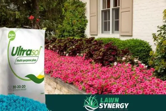 Alt view image 2 of 5 - Ultrasol® Multi-Purpose Plus 20-20-20 25lb Fertilizer