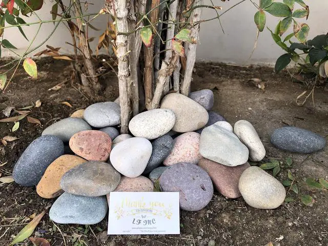 Alt view image 2 of 5 - 50 Lb. Premium Large Mixed Mexican Beach Pebbles 3-5 inches, Decor, Garden, Landscape, Pathways, Backyard, Rock Pebbles