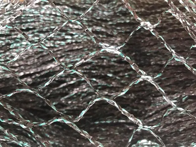 Alt view image 2 of 6 - Direct Commercial Grade Heavy Duty Polyethylene Anti Bird Netting for Garden Blueberries Fruit Trees Poultry Cage Pond Net Reusable Does not Tangle Snag or Rot (20 ft x 33 ft)