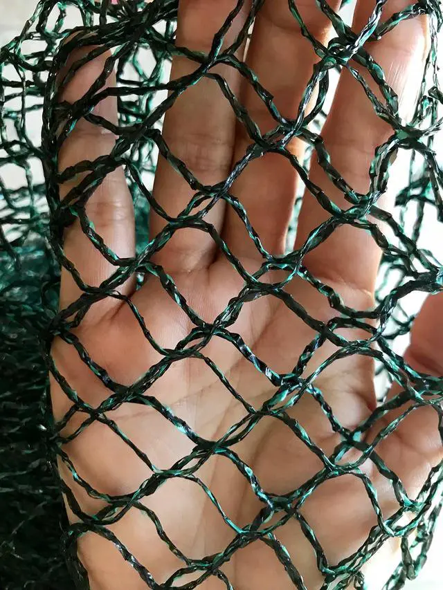 Alt view image 4 of 6 - Direct Commercial Grade Heavy Duty Polyethylene Anti Bird Netting for Garden Blueberries Fruit Trees Poultry Cage Pond Net Reusable Does not Tangle Snag or Rot (20 ft x 33 ft)