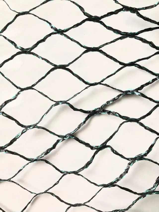 Alt view image 5 of 6 - Direct Commercial Grade Heavy Duty Polyethylene Anti Bird Netting for Garden Blueberries Fruit Trees Poultry Cage Pond Net Reusable Does not Tangle Snag or Rot (20 ft x 33 ft)