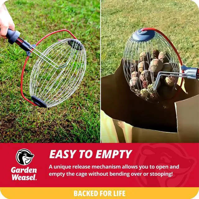 Alt view image 5 of 6 - Nut Gatherer - Large Cage Pick Up Walnuts, Small Apples, Citrus Fruits, Tennis Balls Nut Collector and Picker Upper Roller w Cage Spreader 95405-A Bonus Gardening Gloves Included