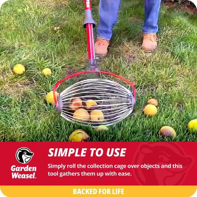 Alt view image 6 of 6 - Nut Gatherer - Large Cage Pick Up Walnuts, Small Apples, Citrus Fruits, Tennis Balls Nut Collector and Picker Upper Roller w Cage Spreader 95405-A Bonus Gardening Gloves Included