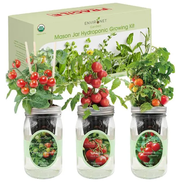 Alt view image 2 of 6 - Hydroponic Mason Jar Indoor Garden Organic Seed Starter Kits - Tomato Trio Garden Growing Kits, Gardening Gift (Red Robin Tomato, Cherry Tomato - Tiny Tim, Sweetie Cherry Tomato)