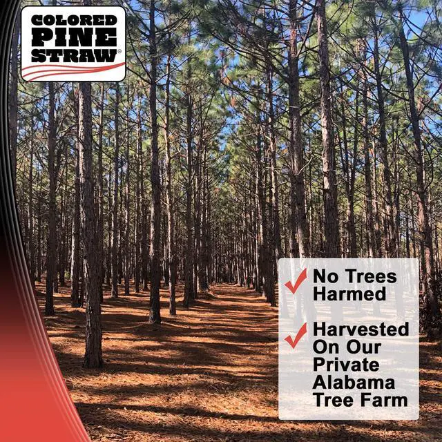 Alt view image 2 of 2 - Longleaf Pine Straw Loose in Box for Landscaping - Non-Colored - Covers Up to 90 Square Feet