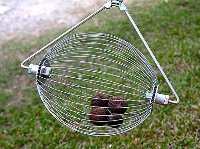 Alt view image 2 of 3 - Large Nut Wizard- Nut Picker Upper for Black Walnuts and Sweet Gumball Rake 17"