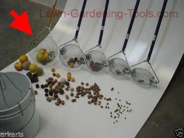 Alt view image 3 of 3 - Large Nut Wizard- Nut Picker Upper for Black Walnuts and Sweet Gumball Rake 17"