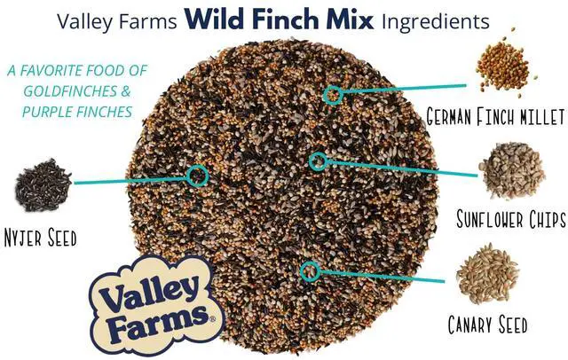 Alt view image 5 of 6 - Wild Finch Mix (15 LB) Wild Bird Food for Outside Feeders, Wild Bird Seed with Millet and Chopped Sunflower Hearts for Birds, Finch Seed for Finch Feeders, Sunflower Kernels