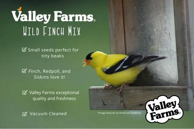 Alt view image 6 of 6 - Wild Finch Mix (15 LB) Wild Bird Food for Outside Feeders, Wild Bird Seed with Millet and Chopped Sunflower Hearts for Birds, Finch Seed for Finch Feeders, Sunflower Kernels