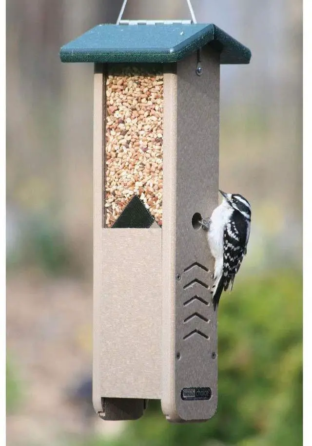 Alt view image 2 of 6 - SNWP Peanut and Suet Nugget Bird Feeder, Woodpecker Bird Feeder, 1.25 Quarts, Taupe/Green