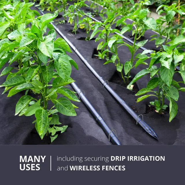 Alt view image 4 of 6 - Galvanized 6 Inch Round Top Landscape Staples ~ SOD Garden Stakes for Drip Irrigation Tubing & PVC Piping - Trusted by Farmers & Contractors Across USA (500 Staples)