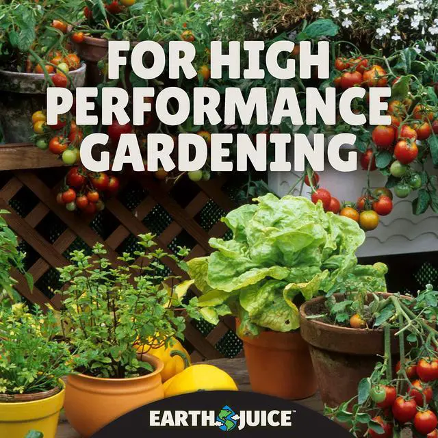 Alt view image 3 of 6 - ARZER Hydroponic & Indoor Gardening Starter Kit Plant Fertilizer and Nutrients