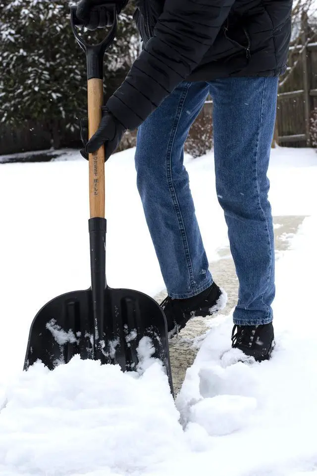 Alt view image 4 of 5 - Manufacturing General Purpose Poly Gardener Scoop Shovel (Black Poly, 48-Inch)
