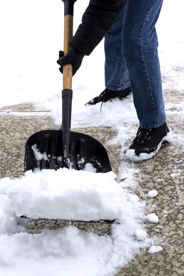 Alt view image 5 of 5 - Manufacturing General Purpose Poly Gardener Scoop Shovel (Black Poly, 48-Inch)